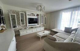 Penthouse, 145 mp, 75 mp terasa, zona Iulius Mall