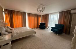 Penthouse, 145 mp, 75 mp terasa, zona Iulius Mall