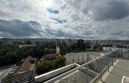 Penthouse, 145 mp, 75 mp terasa, zona Iulius Mall