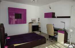 1 camera, 58 mp, finisat si mobilat lux, terase, zona strazii Clinicilor