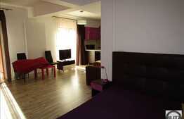 1 camera, 58 mp, finisat si mobilat lux, terase, zona strazii Clinicilor