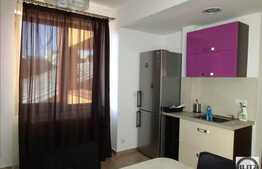 1 camera, 58 mp, finisat si mobilat lux, terase, zona strazii Clinicilor