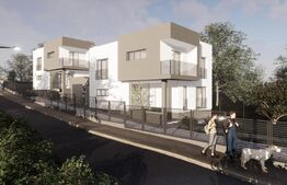 Case cuplate 150 mp utili, 334 mp teren, Valea Chintaului 