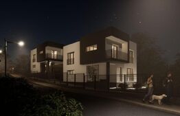 Case cuplate 150 mp utili, 334 mp teren, Valea Chintaului 