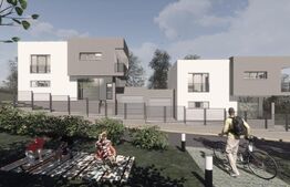 Case cuplate 150 mp utili, 334 mp teren, Valea Chintaului 