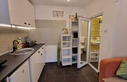 Garsoniera ideala pentru investitie! terasa, parcare, Ultracentral