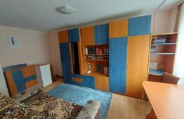 Garsoniera 23mp, zona Uzina 2