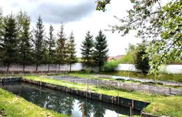 Proprietate speciala (Vila, Pastravarie,Teren multisport, Balta pescuit