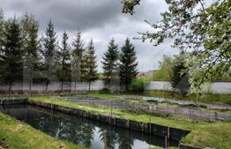 Proprietate speciala (Vila, Pastravarie,Teren multisport, Balta pescuit