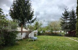 Proprietate speciala (Vila, Pastravarie,Teren multisport, Balta pescuit