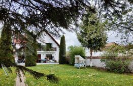 Proprietate speciala (Vila, Pastravarie,Teren multisport, Balta pescuit