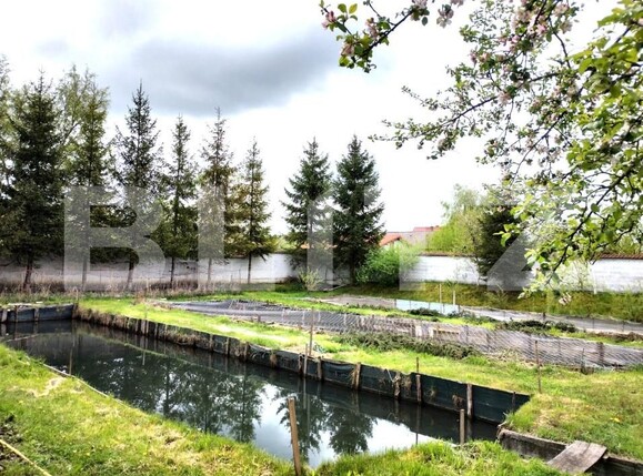 Casa de vânzare 4 camere Est - 159674CV | BLITZ Brașov | Poza16