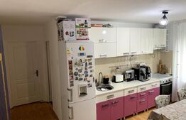 Apartament 3 camere 65m intrare din strada, pretabil pentru spatiu comercial 