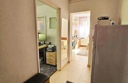 Apartament 2 camere, decomandat, pet-friendly, zona parcului Sopor