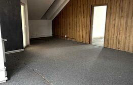  Casă individuală, spațioasă, 250 mp, ideală pentru birouri, zona Între Lacuri