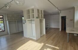 Spatiu comercial, 67 mp, gradina 19 mp, parcare, zona Avram Iancu