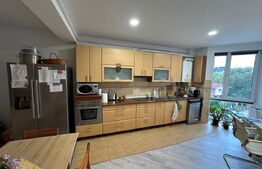 Apartament cu 3 camere, etaj 2/4, orientare Sud, zona Iulius Mall