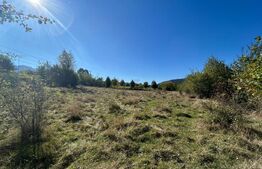 Teren intravilan Bran