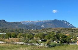 Teren de vânzare Cristian - 143367TV | BLITZ Brașov | Poza3