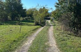 Teren intravilan Bran