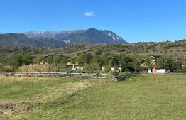 Teren intravilan Bran