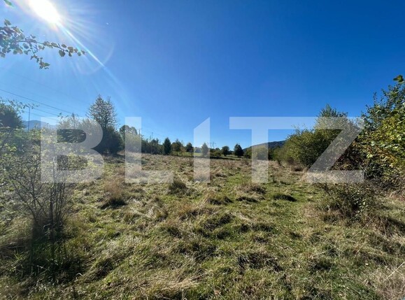 Teren de vânzare Bran - 159763TV | BLITZ Brașov | Poza8