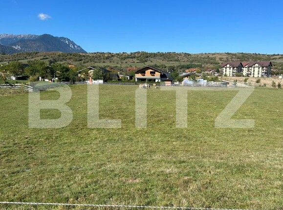 Teren de vânzare Bran - 159763TV | BLITZ Brașov | Poza3