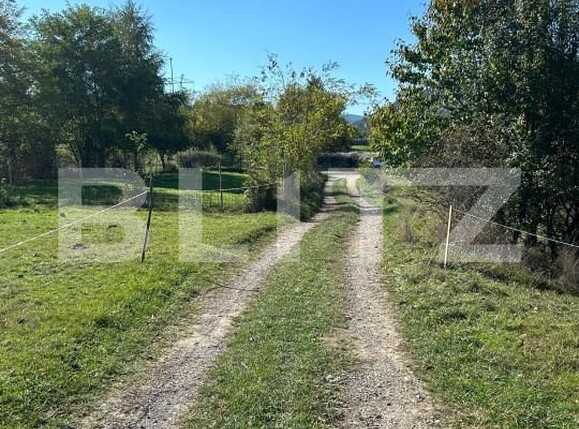 Teren de vânzare Bran - 159763TV | BLITZ Brașov | Poza4