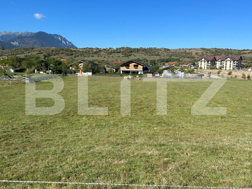 Teren de vânzare Bran - 159763TV | BLITZ Brașov | Poza3