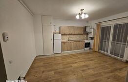 Apartament nou, 2 camere, boxa, zona Teilor