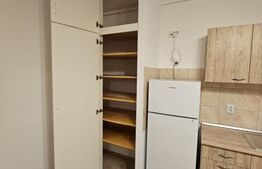 Apartament nou, 2 camere, boxa, zona Teilor