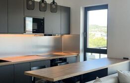 Apartament LUX 2 camere la prima închiriere , parcare, zona semi centrala 