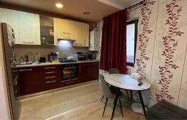 Apartament 2 camere Tractoru, in vila 2010