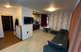 Apartament 2 camere Tractoru, in vila 2010