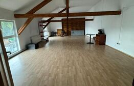 Spatiu birou/productie/depozit, 260mp, CHELTUIELI INCLUSE, zona Piata 1 Mai