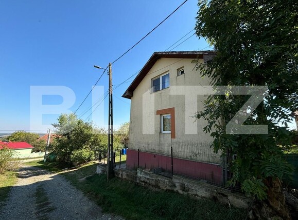 Casa de vânzare 3 camere Deuşu - 159850CV | BLITZ Cluj-Napoca | Poza10