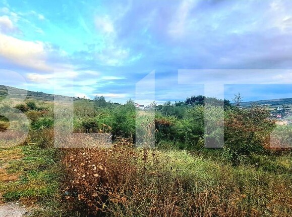 Teren de vânzare Chinteni - 159864TV | BLITZ Cluj-Napoca | Poza1