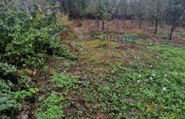 Casa in inima Brasovului sub munti, 1000 mp teren si  livada , 4 camere.