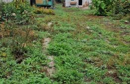 Casa in inima Brasovului sub munti, 1000 mp teren si  livada , 4 camere.