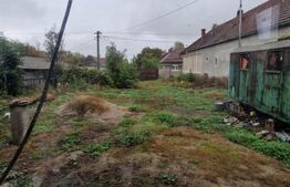 Casa in inima Brasovului sub munti, 1000 mp teren si  livada , 4 camere.