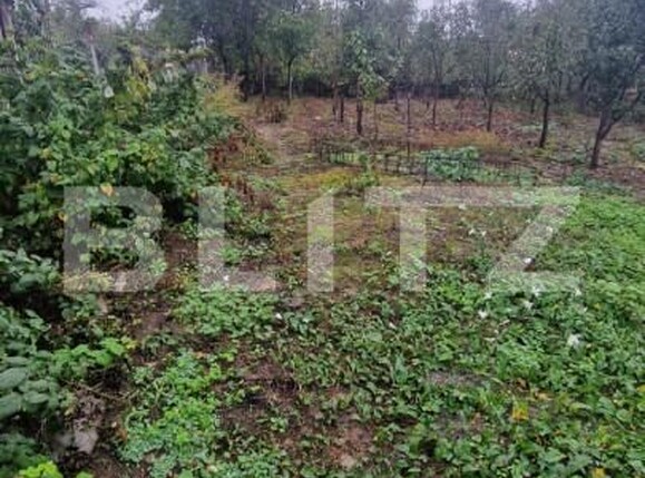 Casa de vânzare 4 camere Făgăraş - 159885CV | BLITZ Brașov | Poza3