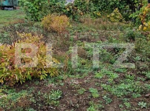 Casa de vânzare 4 camere Făgăraş - 159885CV | BLITZ Brașov | Poza10