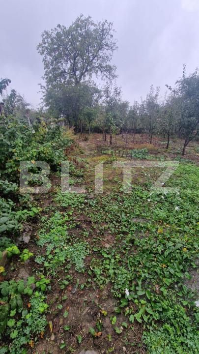 Casa de vânzare 4 camere Făgăraş - 159885CV | BLITZ Brașov | Poza3