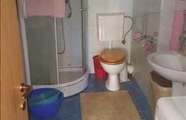 De vanzare apartament 1 camera, 42 mp, etaj intermediar, zona strazii Oasului