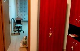 Apartament o camera, decomandat, zona Teilor