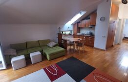 Apartament 2 camere, 50 mp, zona Parcul Central