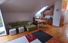 Apartament 2 camere, 50 mp, zona Parcul Central