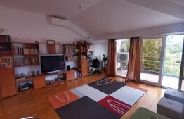 Apartament 2 camere, 50 mp, zona Parcul Central
