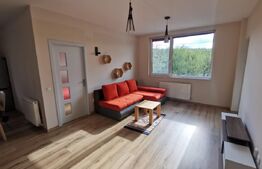 Apartement, 2 camere, 50 mp, Parcare, str. Romul Ladea, Borhanci