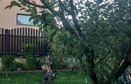 Casa 6 camere in Rasnov - Brasov